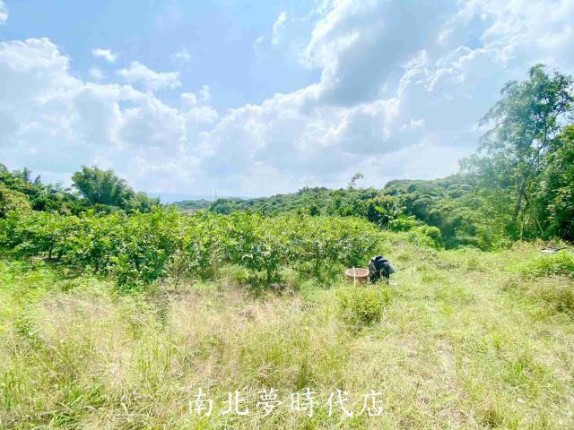 台南玉井建地-9