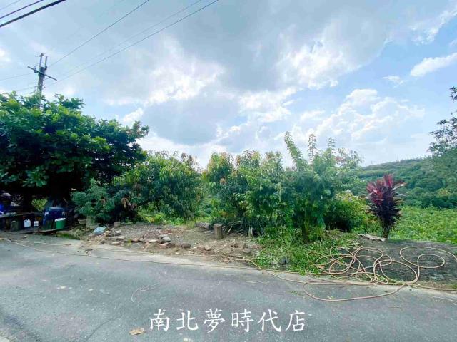 台南玉井建地-0