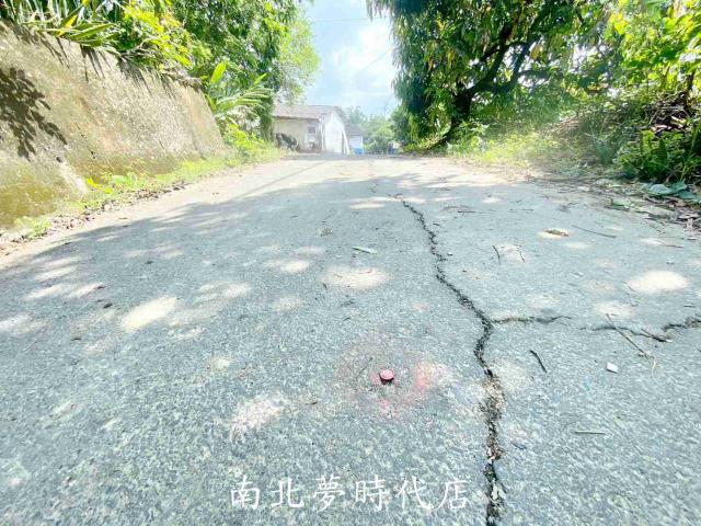 台南玉井建地-7