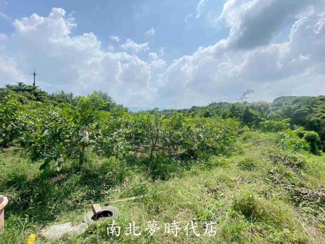 台南玉井建地-8