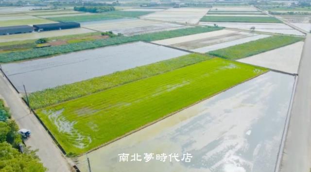 白河農地-2