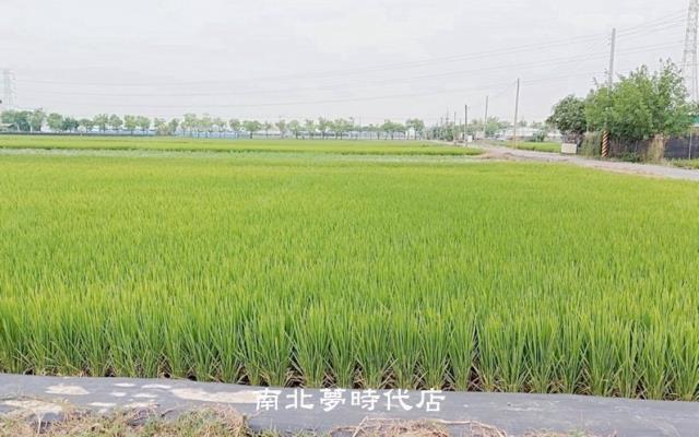白河農地-4