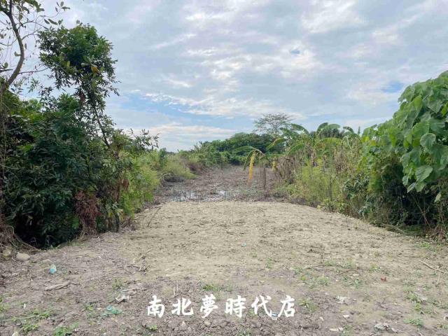 台南大內農地-2