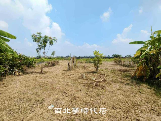 台南農地-2