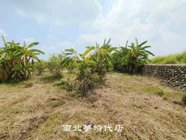 台南農地-3