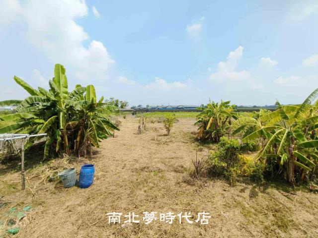 台南農地-4
