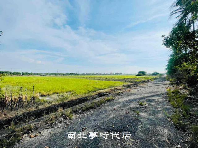 鹽水農地-0