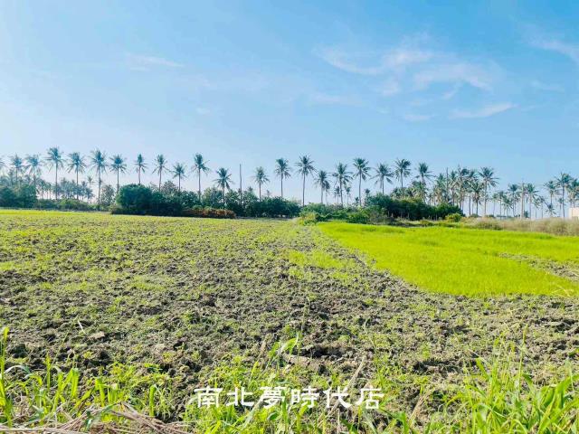 鹽水農地-8