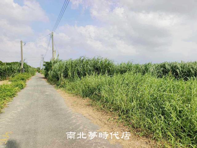 台南善化農地-11