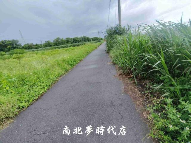 台南善化農地-3