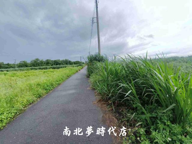 台南善化農地-6
