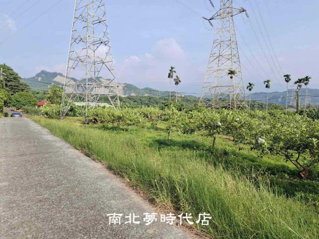 楠西農地-10