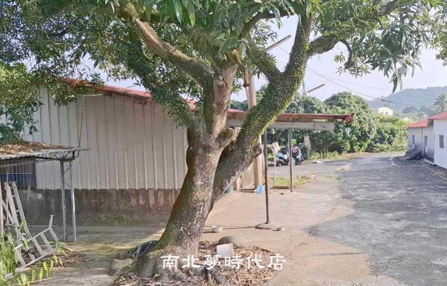 楠西農地-12