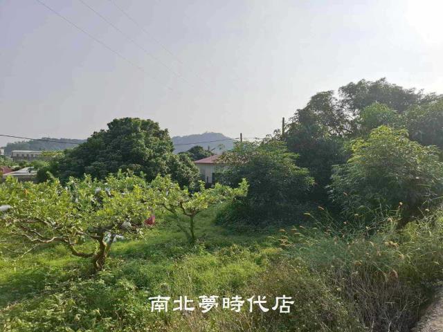 楠西農地-14