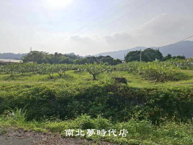 楠西農地-1
