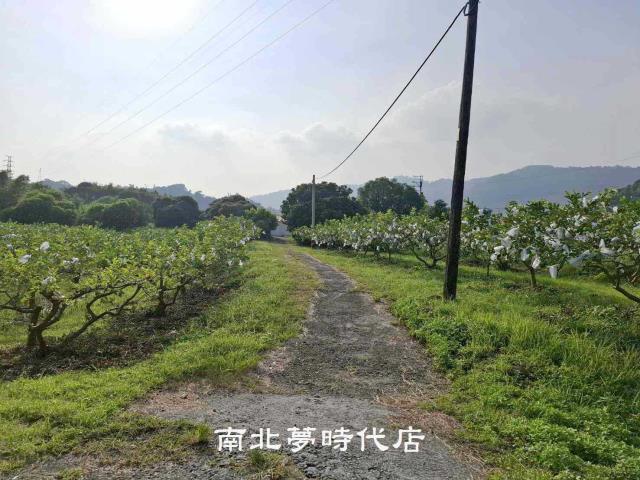 楠西農地-3