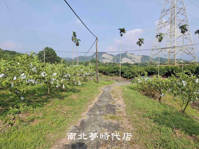 楠西農地-5