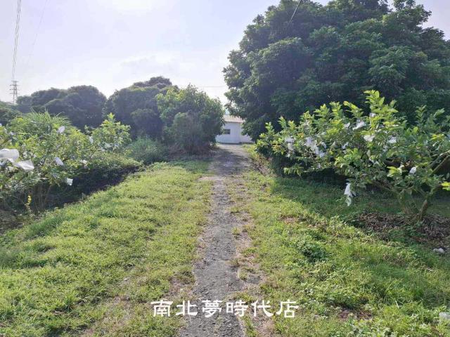 楠西農地-6