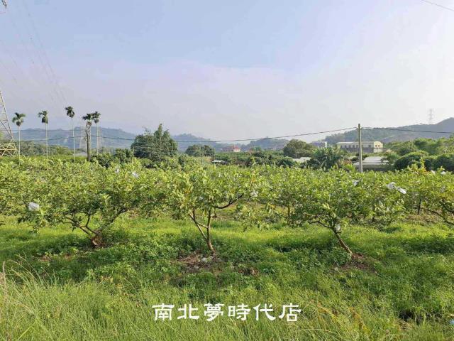 楠西農地-8