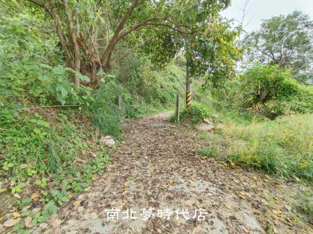 台南龍崎農地-1