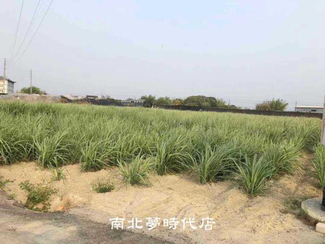 台南新市農地-1