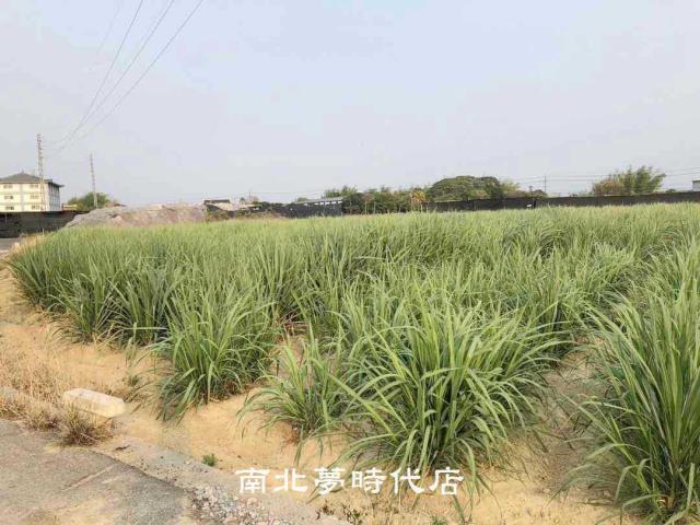 台南新市農地-2