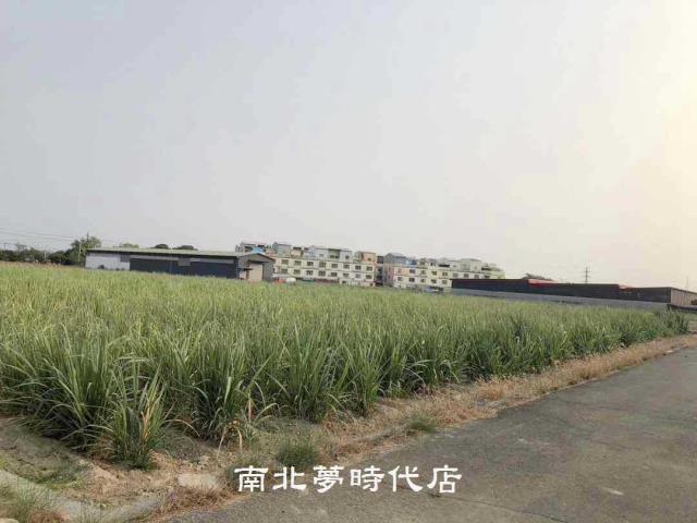 台南新市農地-3