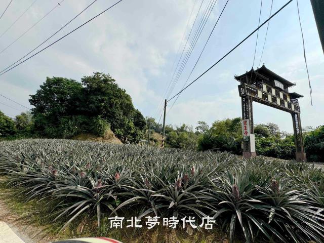 台南龍崎農地-0