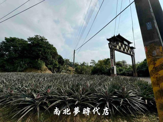 台南龍崎農地-3