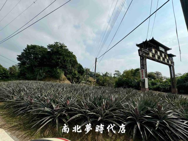 龍崎農地-3