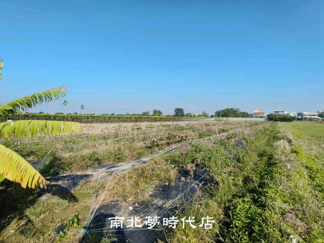東山農地-1