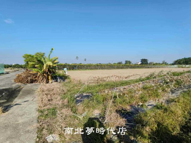 東山農地-2