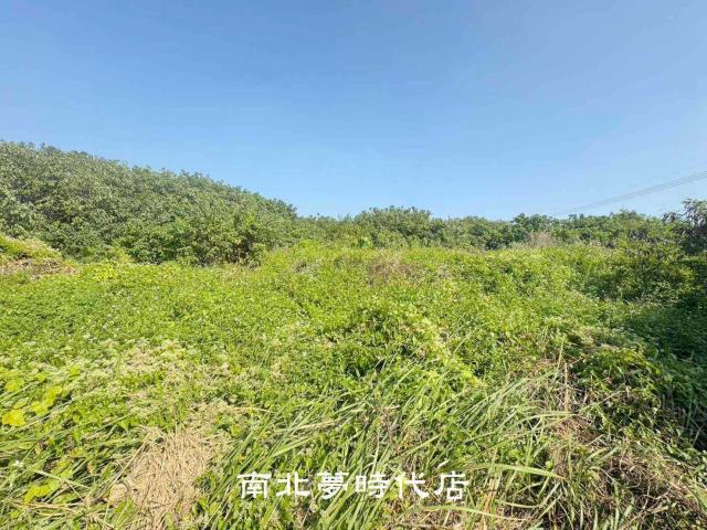 南區農地-0