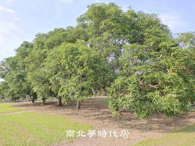 南化農地-2