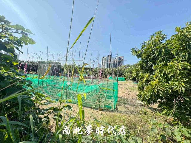 台南南區農地-12