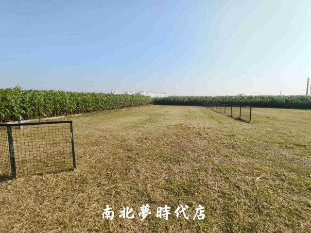 台南柳營農地-4