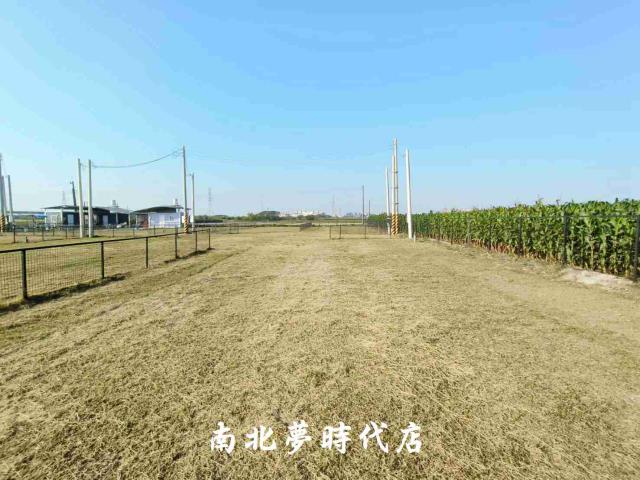 台南柳營農地-6