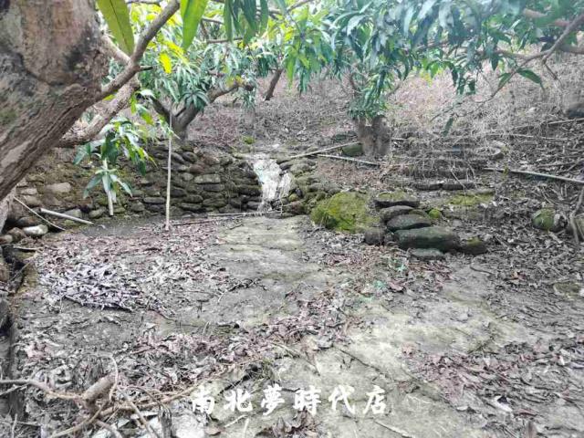 楠西農地-12