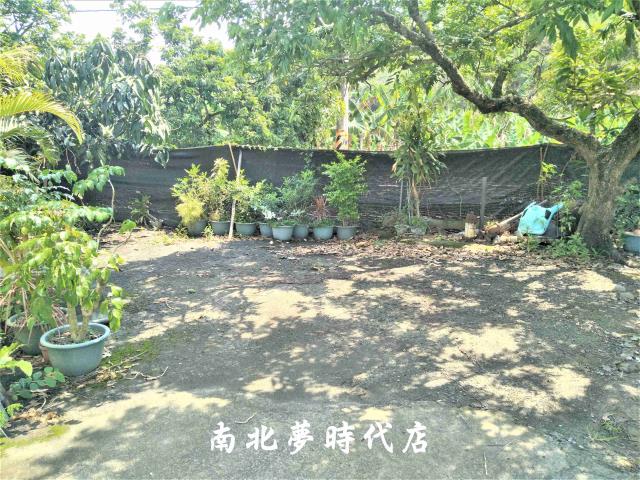 楠西農地-5