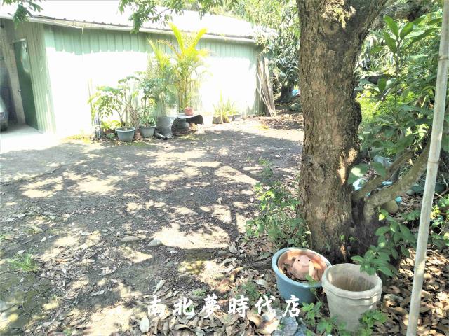 楠西農地-6