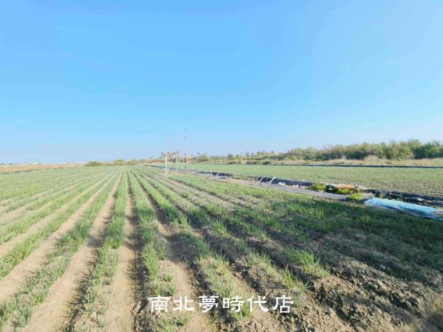 安南農地-9