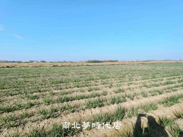 安南農地-3