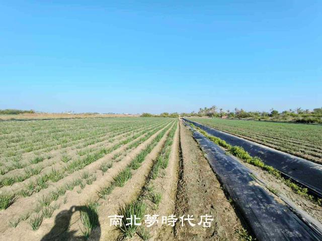 安南農地-7