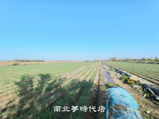安南農地-8