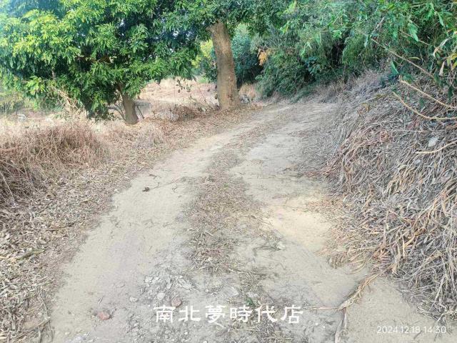 台南關廟農地-12