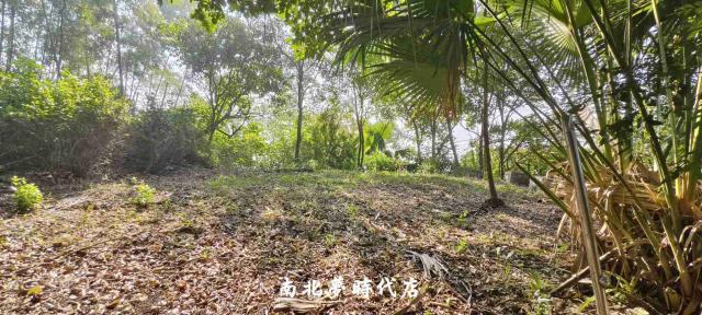 台南龍崎農地-6