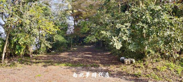台南龍崎農地-8