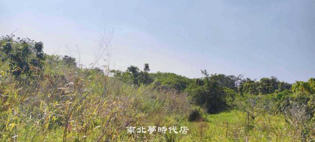 台南農地-1