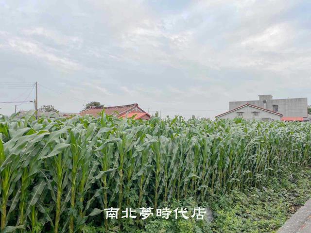 台南鹽水建地-1