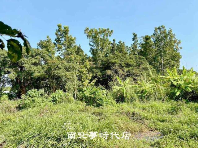 台南南化農地-1